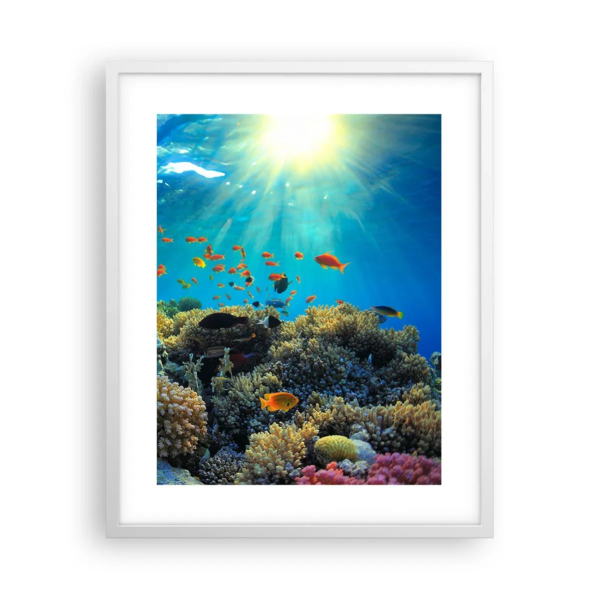 Poster in einem weißen Rahmen - Unterwasserschätze - 40x50 cm