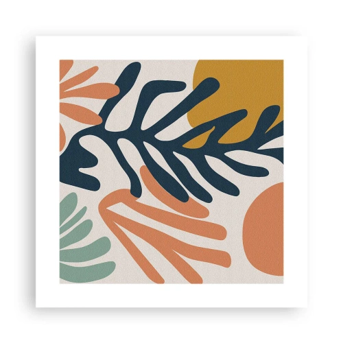 Poster - Korallenmeere - 40x40 cm