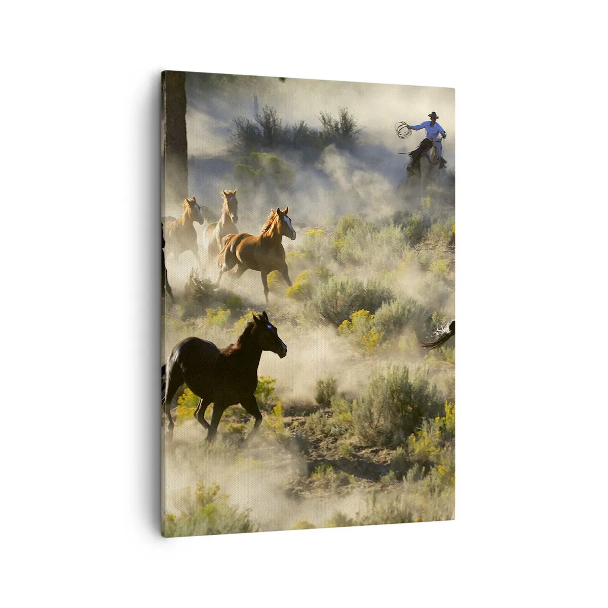 Bild auf Leinwand - Leinwandbild - Eine Herde wilder Pferde galoppiert durch Staub und Vegetation - 50x70cm - Rivalität – Freiheit oder männliche Stärke? - Moderne Wanddekoration für Wohnzimmer und Schlafzimmer ARTTOR