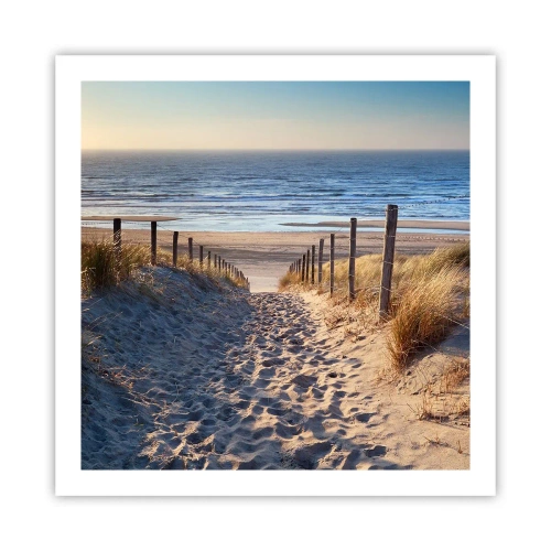 Poster - Das Rauschen des Meeres, der Gesang der Vögel, ein wilder Strand im Gras ... - 60x60 cm