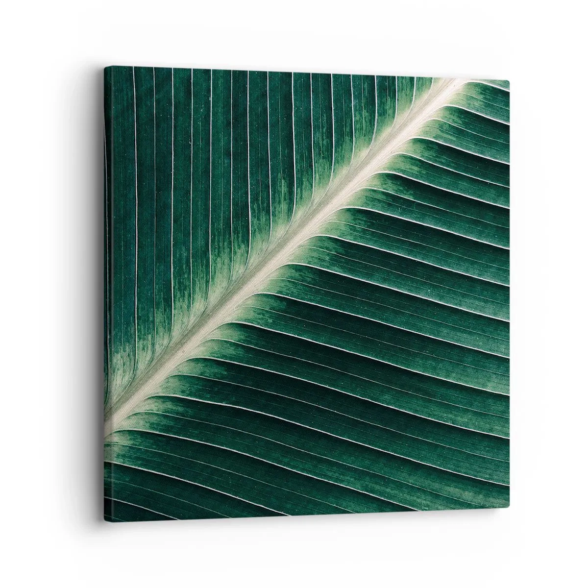 Bild auf Leinwand - Leinwandbild - Rhythmus der Natur - 30x30 cm