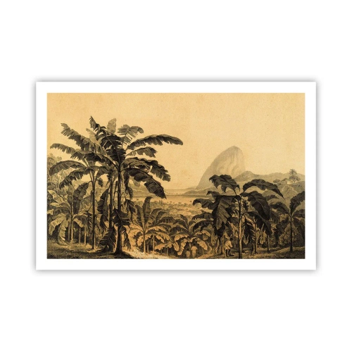 Poster - in einem kolonialen Klima - 91x61 cm