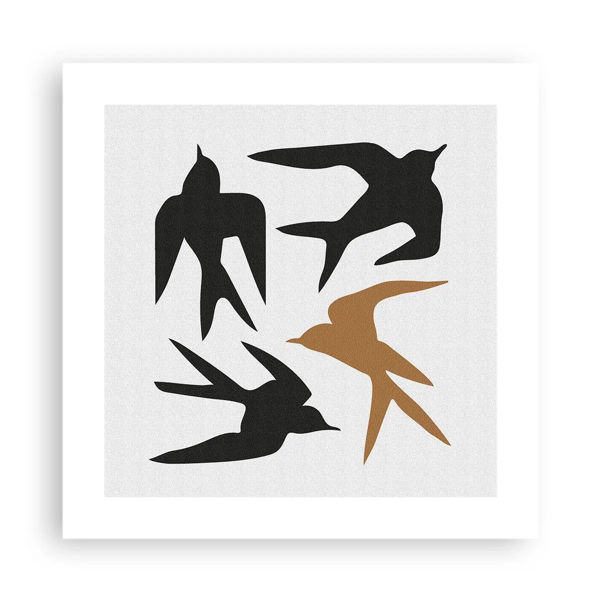Poster - Schwalbenspaß - 40x40 cm