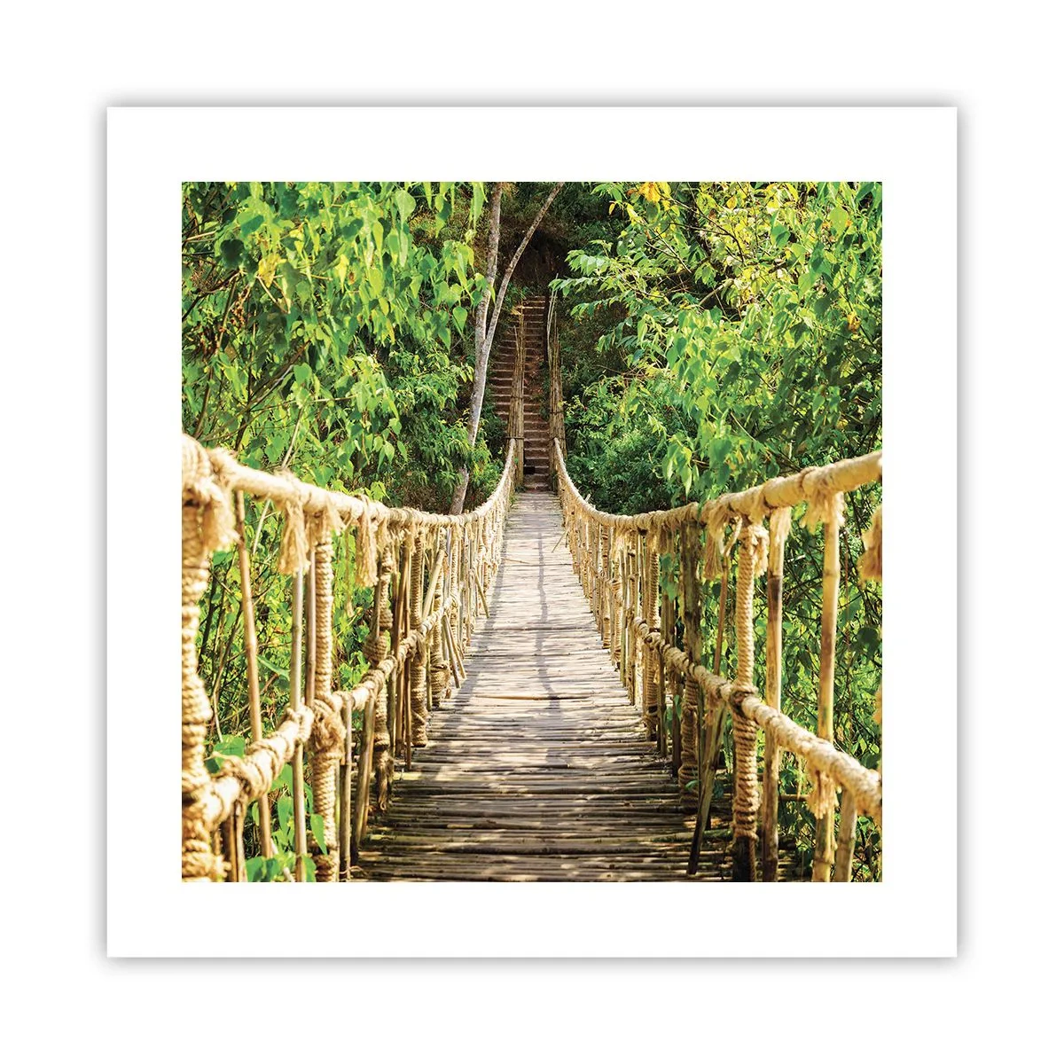 Poster - Im Grünen ausgesetzt - 40x40 cm