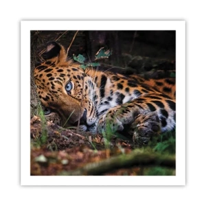 Poster - Vertrau mir - 60x60 cm