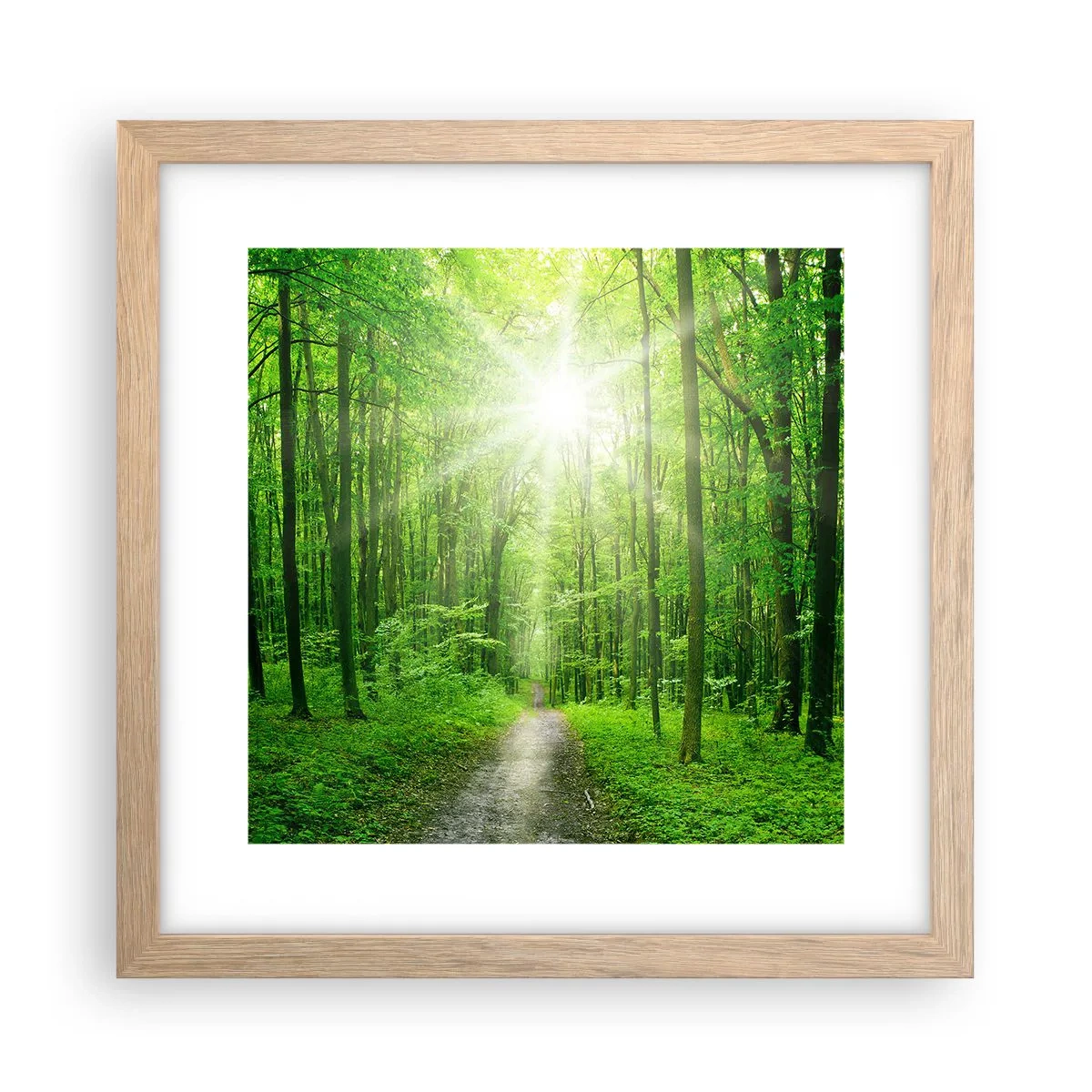 Poster in einem Rahmen aus heller Eiche - Die grüne Kathedrale - 30x30 cm