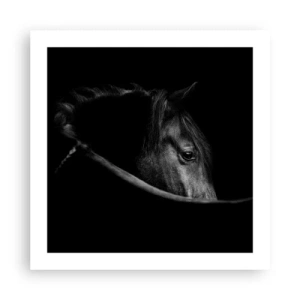 Poster - Schwarzer Prinz - 50x50 cm