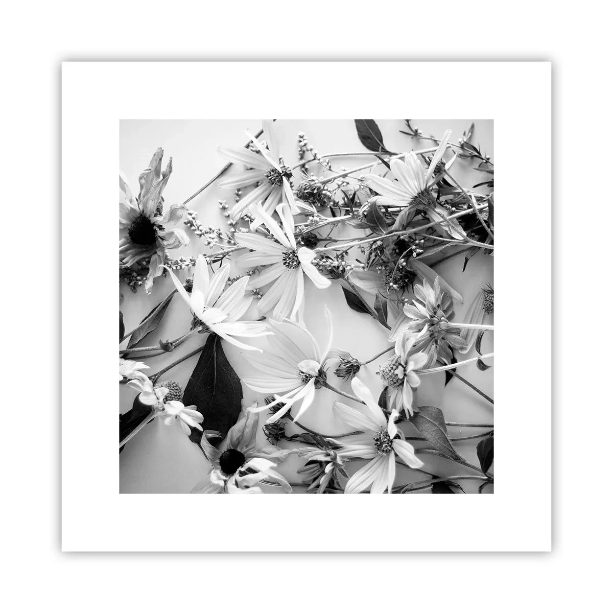 Poster - Kein Blumenstrauß - 30x30 cm