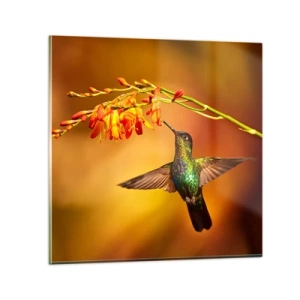 Glasbild - Bild auf glas - Ein Lichtbote nach den Maya - 30x30 cm