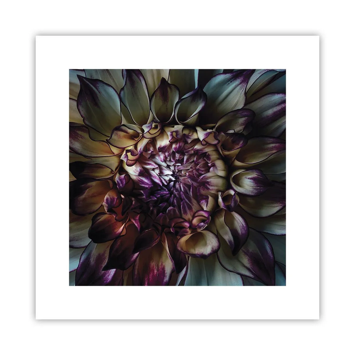 Poster - Die Blütezeit der Jugend - 30x30 cm