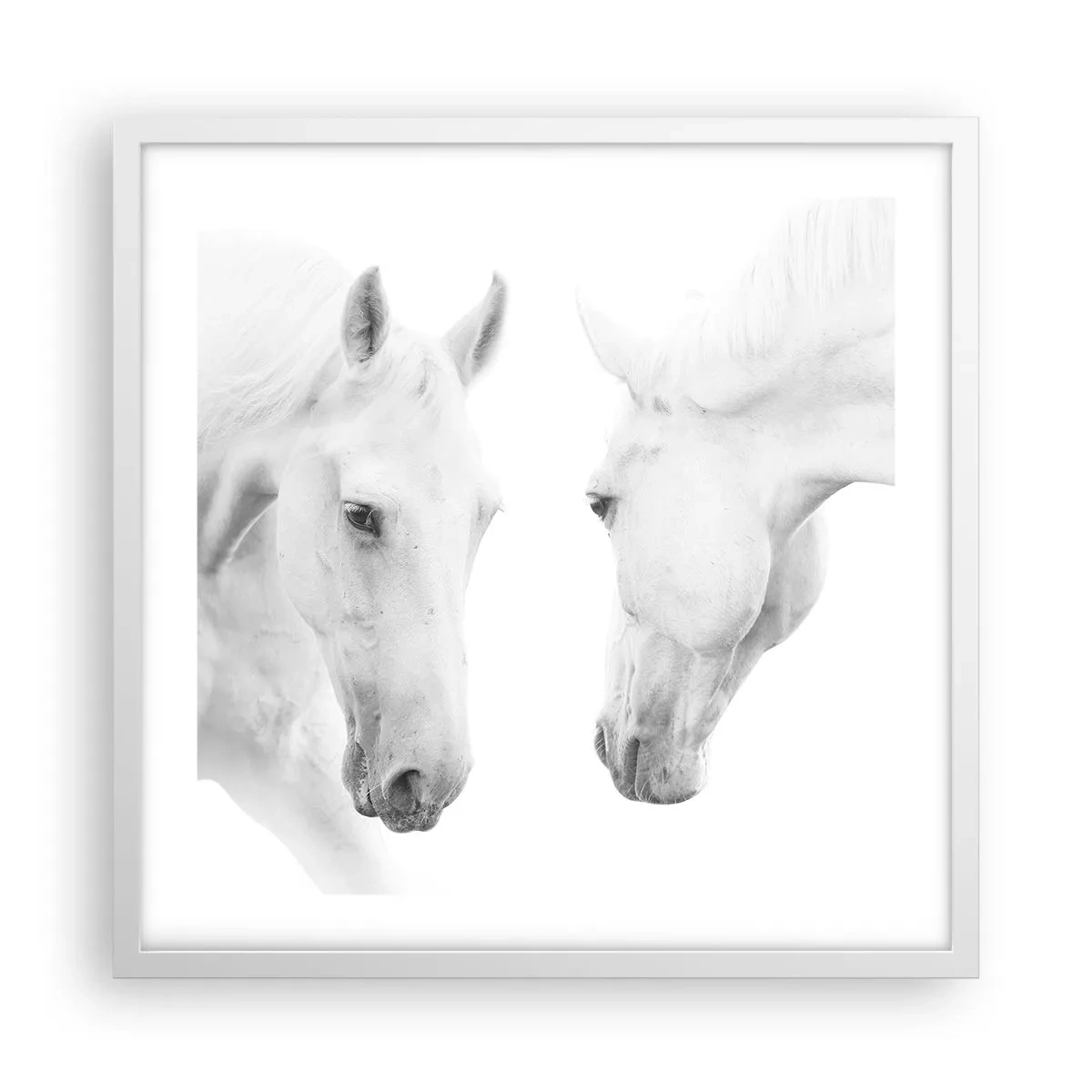 Poster in einem weißen Rahmen - Ist das Freundschaft...? - 50x50 cm