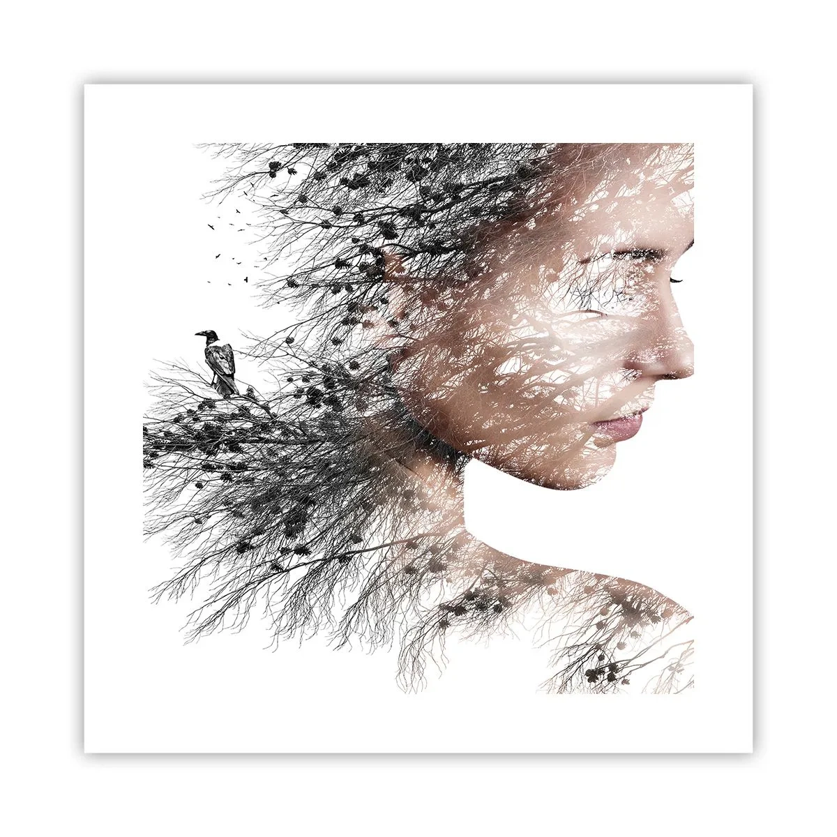Poster - Der Geist des Waldes - 40x40 cm