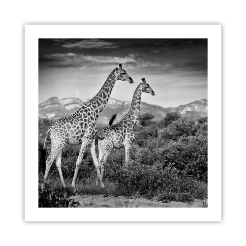 Poster - Hohe Sphären in Afrika - 50x50 cm