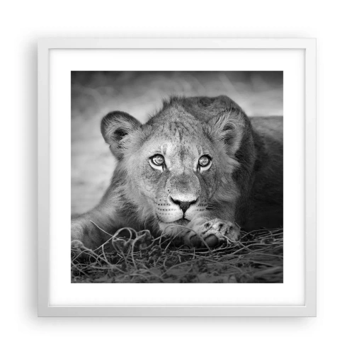 Poster in einem weißen Rahmen - Königlicher Welpe - 40x40 cm