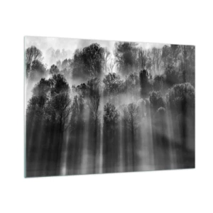 Glasbild - Bild auf glas - Schwarze und weiße Lichtstrahlen durchdringen den Wald - 100x70cm - In Lichtstrahlen - Moderne Wanddekoration für Wohnzimmer und Schlafzimmer ARTTOR