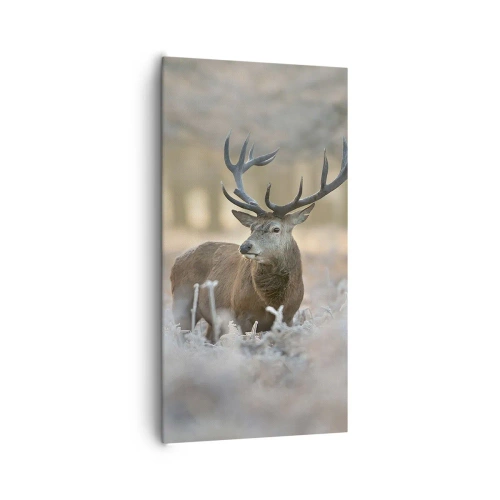 Bild auf Leinwand - Leinwandbild - Ein flotter Morgen - 65x120 cm