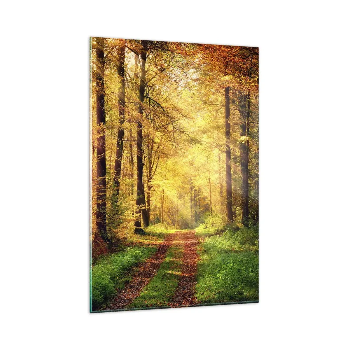 Glasbild - Bild auf glas - Ein Waldweg, umgeben von goldenen und grünen Bäumen - 80x120cm - Waldgoldene Stille - Moderne Wanddekoration für Wohnzimmer und Schlafzimmer ARTTOR