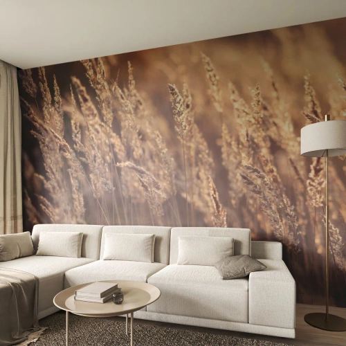 Selbstklebende Fototapete Deluxe Sticker - Bereit, den Herbst willkommen zu heißen - Landschaft, Ähren, Wiese - 100x70 cm