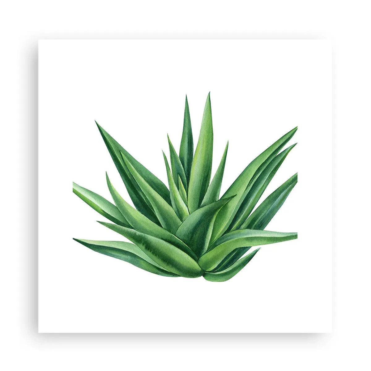 Poster - Grün – Kraft – Leben - 30x30 cm