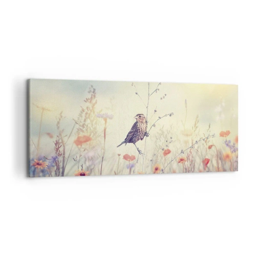 Bild auf Leinwand - Leinwandbild - Vogelporträt mit einer Wiese im Hintergrund - 100x40 cm