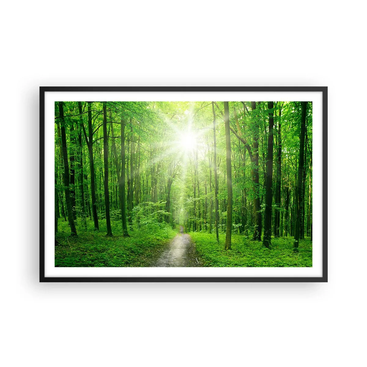 Poster in einem schwarzem Rahmen - Die grüne Kathedrale - 91x61 cm