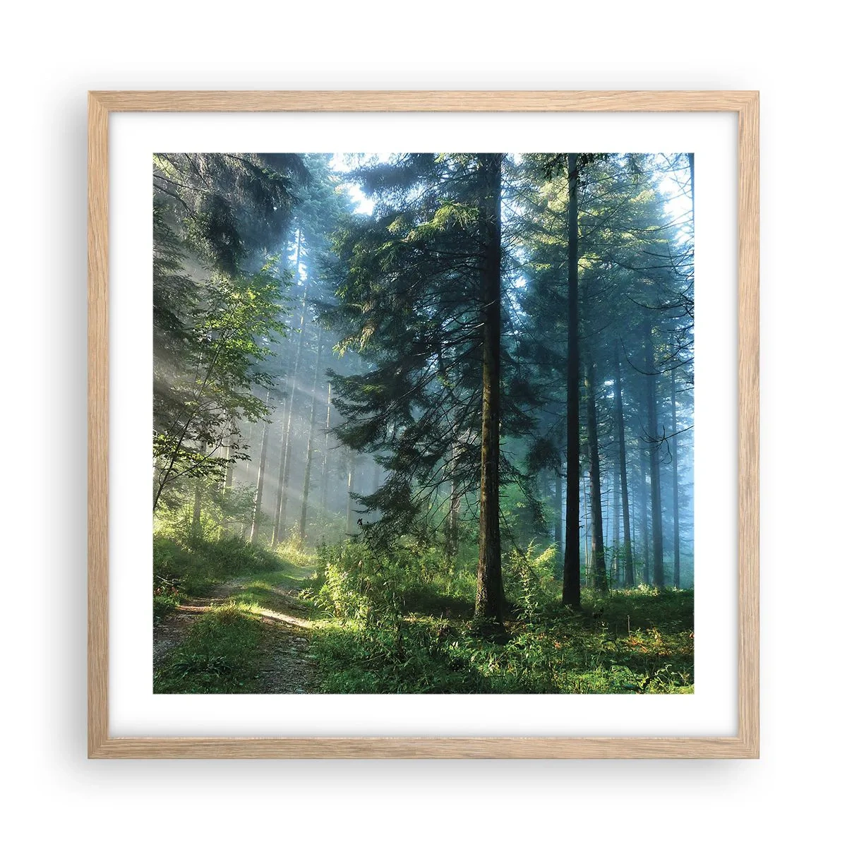 Poster in einem Rahmen aus heller Eiche - Strahlend am Morgen - 50x50 cm