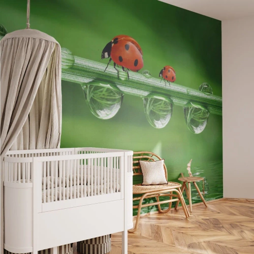 Fototapete Premium Sand - Den ganzen Sommer unterwegs - Marienkäfer, Ein Wassertropfen, Natur - 400x280 cm