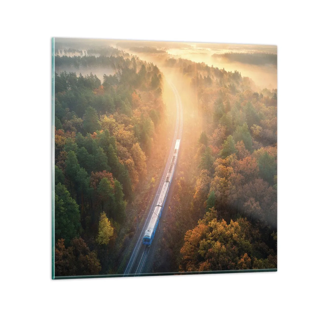 Glasbild - Bild auf glas - Herbstreise - 40x40 cm