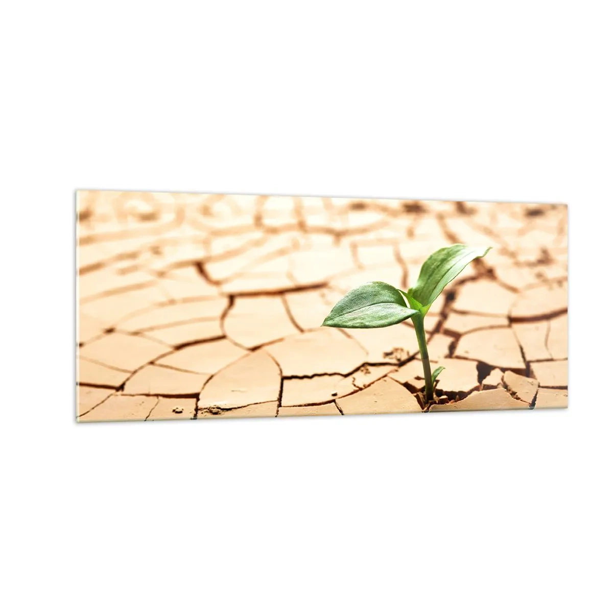 Glasbild - Bild auf glas - Die unbezähmbare Kraft des Lebens - 100x40 cm