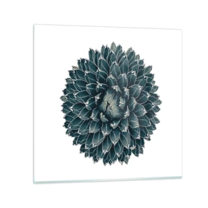 Glasbild - Bild auf glas - Stern der Wüste - 70x70 cm