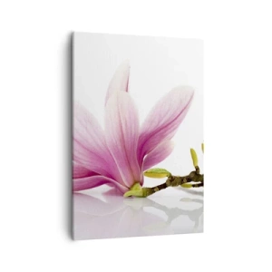 Bild auf Leinwand - Leinwandbild - Zarte rosa Magnolien auf weißem Hintergrund - 50x70cm - Zart wie ein Frühlingswind - Moderne Wanddekoration für Wohnzimmer und Schlafzimmer ARTTOR
