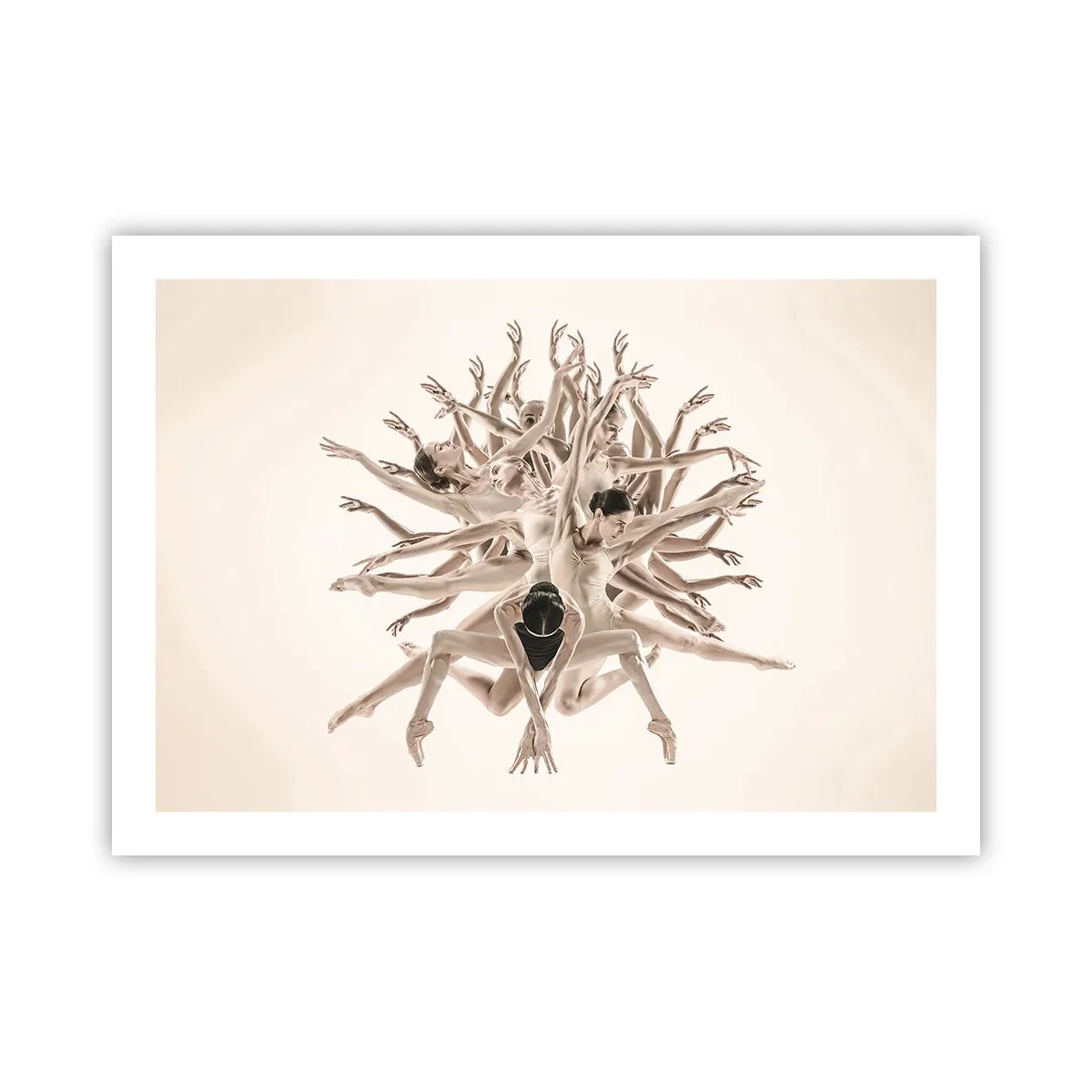 Poster - Aufblühen im Tanz - 70x50 cm