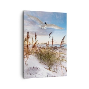 Bild auf Leinwand - Leinwandbild - Strand mit fliegenden Möwen bei Sonnenuntergang - 50x70cm - Wind vom Meer - Moderne Wanddekoration für Wohnzimmer und Schlafzimmer ARTTOR