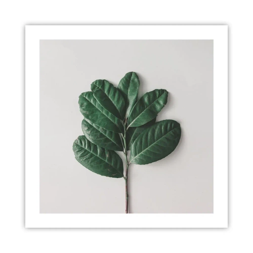 Poster - Eine Zeichnung purer Natur - 50x50 cm