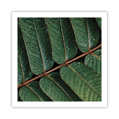 Poster - Im grünen Rhythmus - 60x60 cm