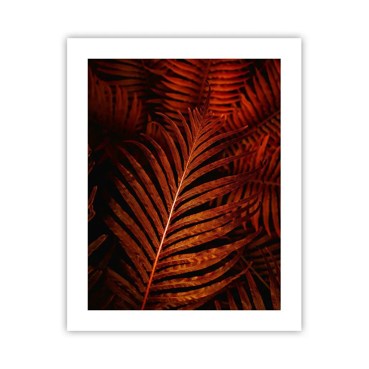 Poster - Die Hitze des Lebens - 40x50 cm