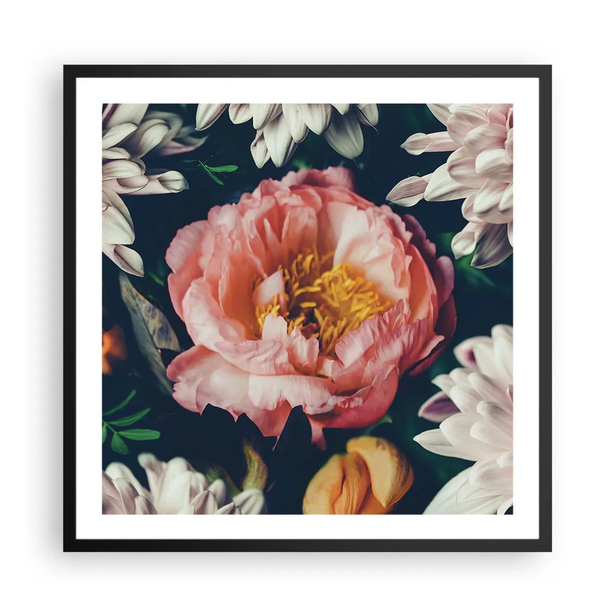 Poster in einem schwarzem Rahmen - Mit barocker Pracht - 60x60 cm