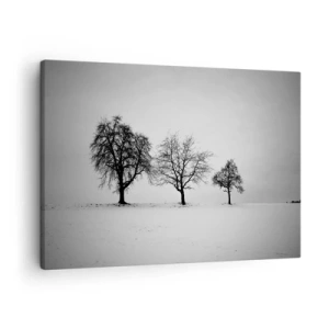 Bild auf Leinwand - Leinwandbild - Drei Bäume auf einem schneebedeckten Feld im monochromen Stil - 70x50cm - Wovon träumen sie? - Moderne Wanddekoration für Wohnzimmer und Schlafzimmer ARTTOR