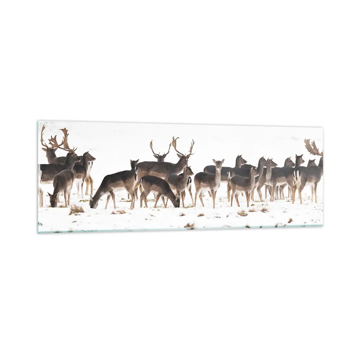 Glasbild - Bild auf glas - Kommen die Weihnachten? - 90x30 cm