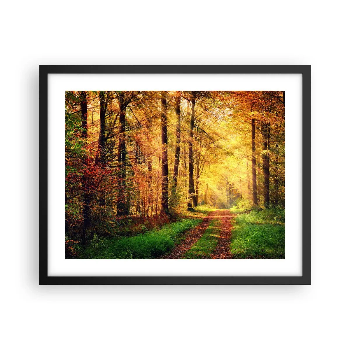 Poster in einem schwarzem Rahmen - Waldgoldene Stille - 50x40 cm