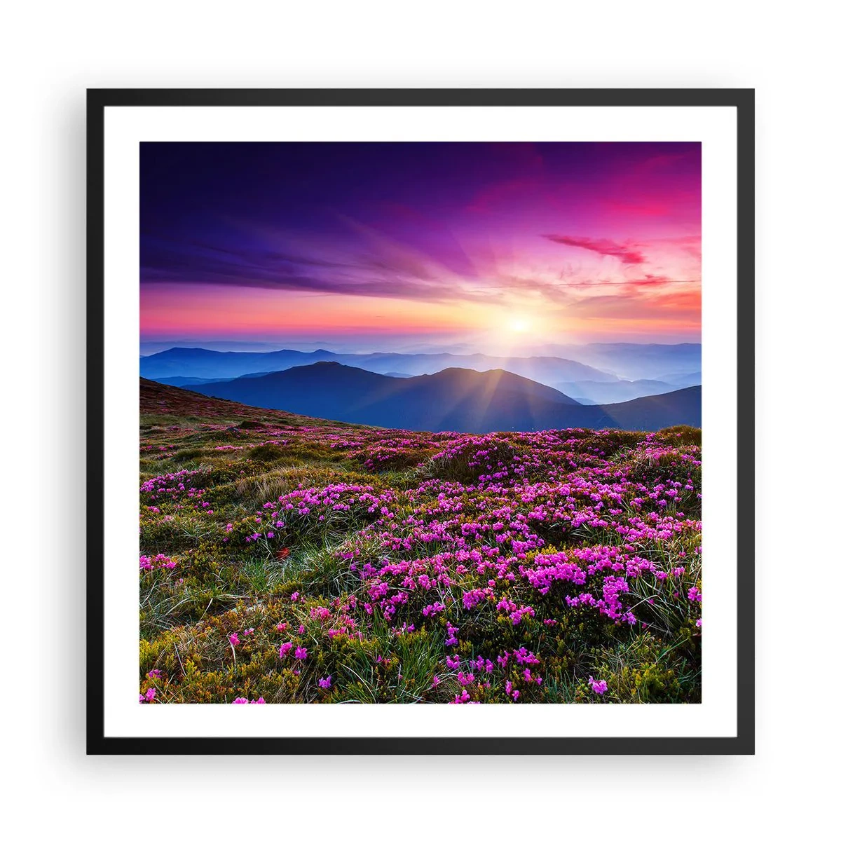 Poster in einem schwarzem Rahmen - Kräuter dufteten nach frischen Trauben von den Feldern - 60x60 cm