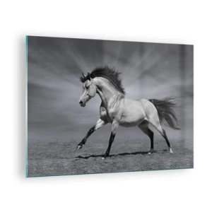 Glasbild - Bild auf glas - Ein Schwarzweißfoto eines galoppierenden Pferdes auf einem offenen Feld. - 70x50cm - Geboren um Freude zu bereiten - Moderne Wanddekoration für Wohnzimmer und Schlafzimmer ARTTOR
