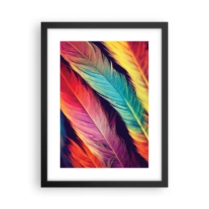 Poster in einem schwarzem Rahmen - Gefiederter Regenbogen - 30x40 cm