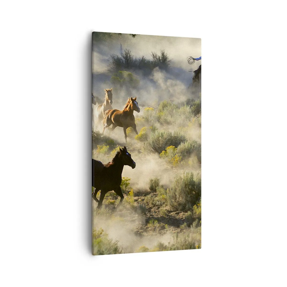 Bild auf Leinwand - Leinwandbild - Rivalität – Freiheit oder männliche Stärke? - 55x100 cm