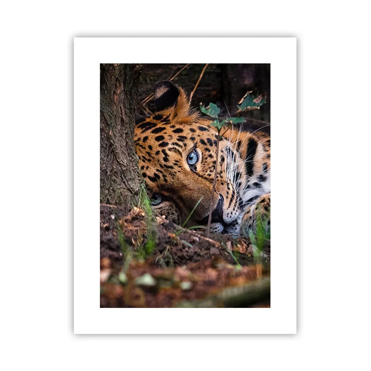 Poster - Vertrau mir - 30x40 cm