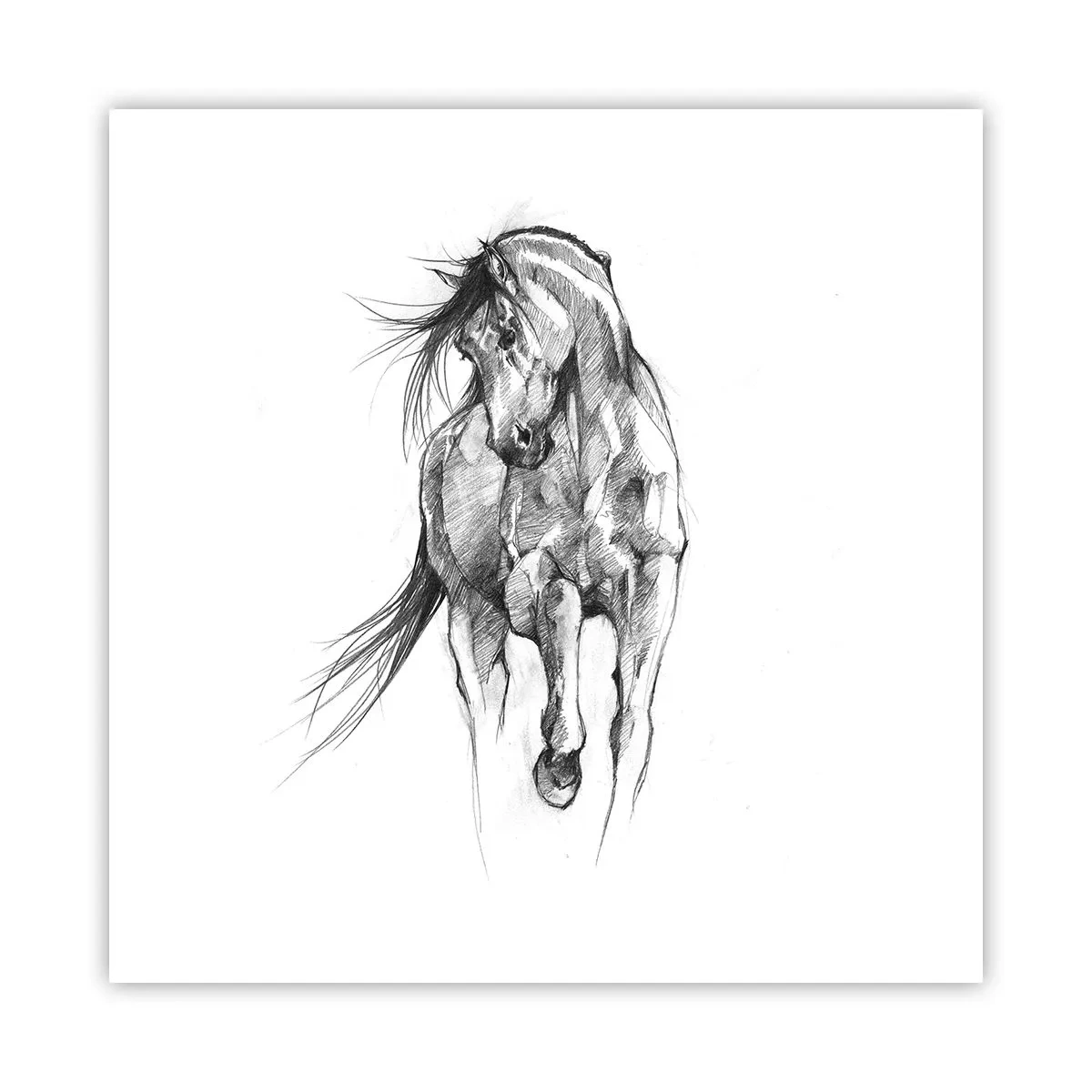 Poster - Im anmutigen Trab - 50x50 cm
