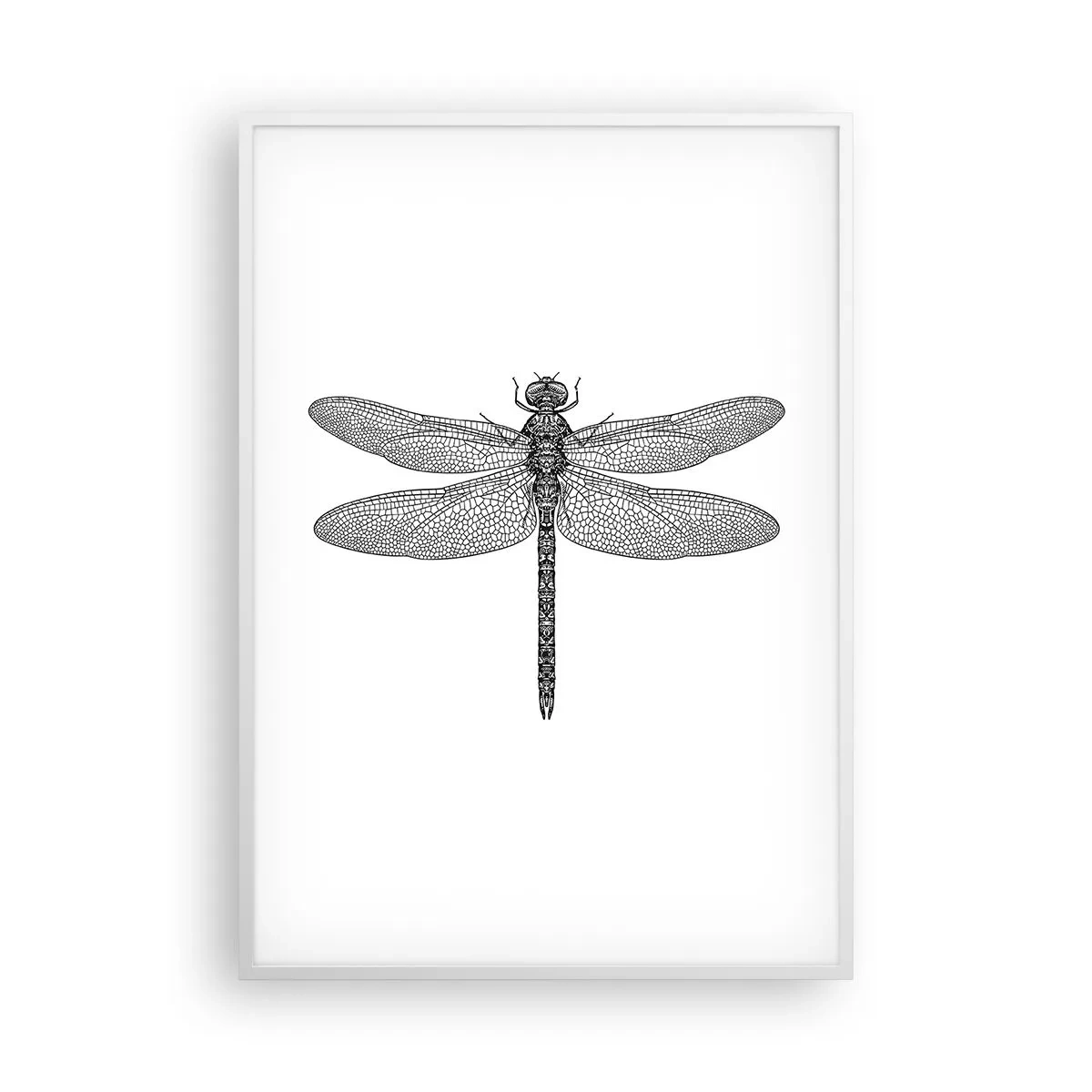 Poster in einem weißen Rahmen - Präzision der Natur - 70x100 cm