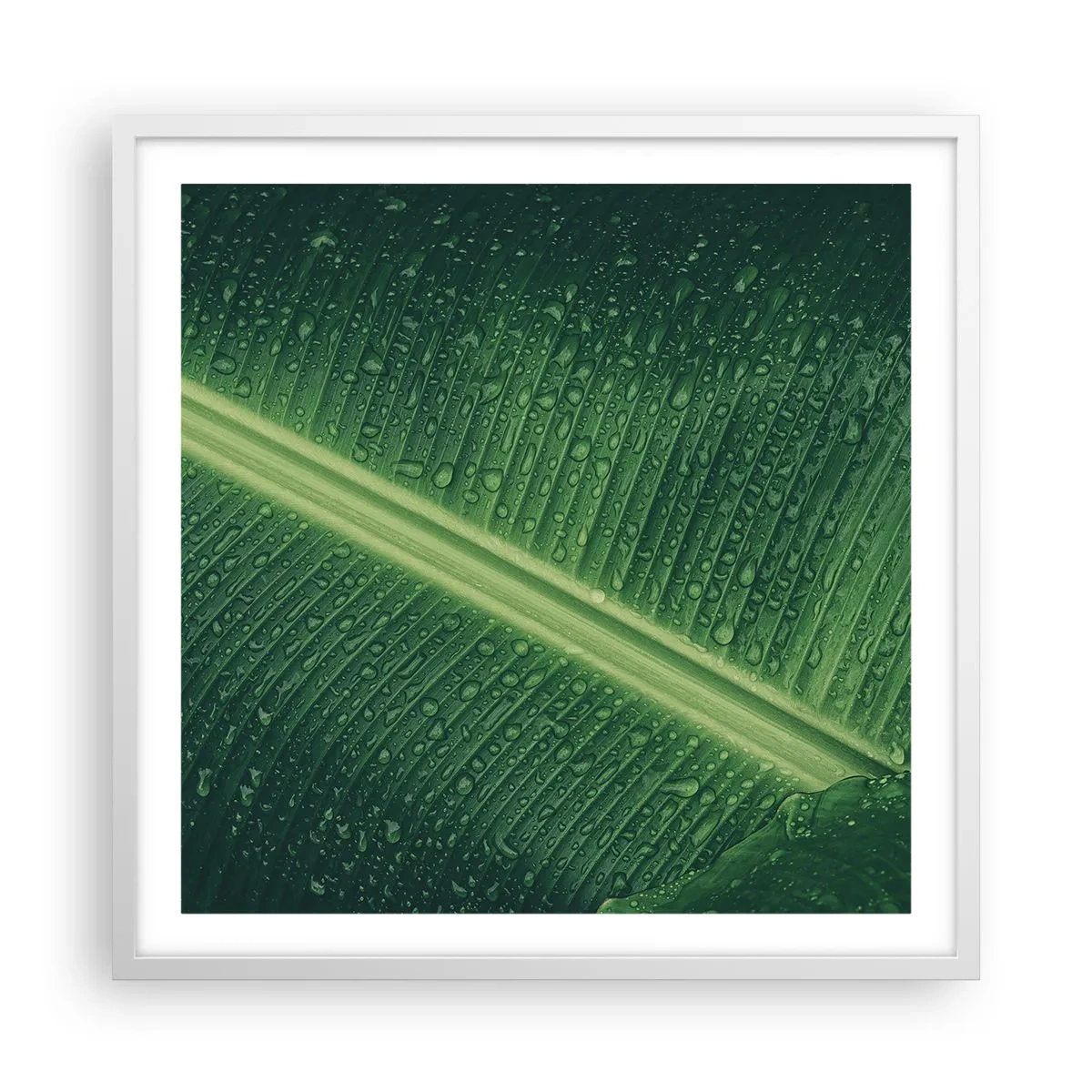 Poster in einem weißen Rahmen - Die Struktur des Grüns - 60x60 cm