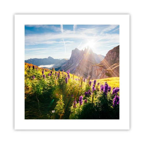 Poster - Das geheime Leben der Kräuter - 40x40 cm