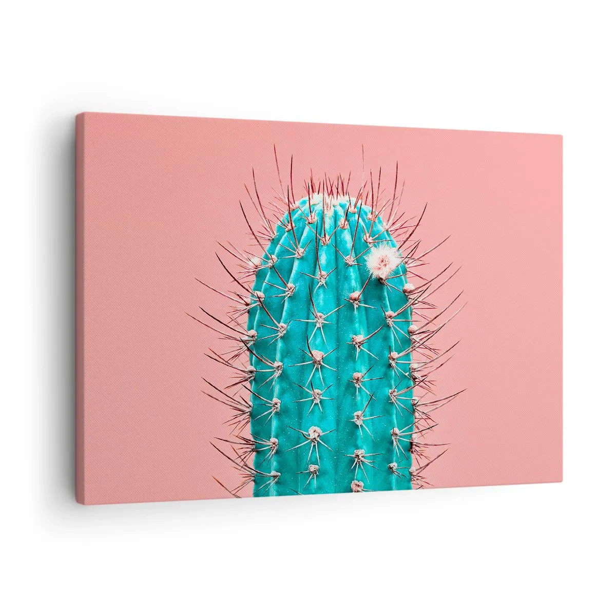 Bild auf Leinwand - Leinwandbild - Eine künstlerische Interpretation eines Kaktus auf rosa Hintergrund - 70x50cm - Schau einfach hin - Moderne Wanddekoration für Wohnzimmer und Schlafzimmer ARTTOR